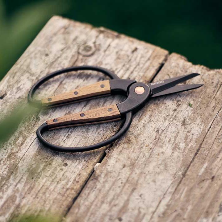 Walnut Scissors Small - Barebones