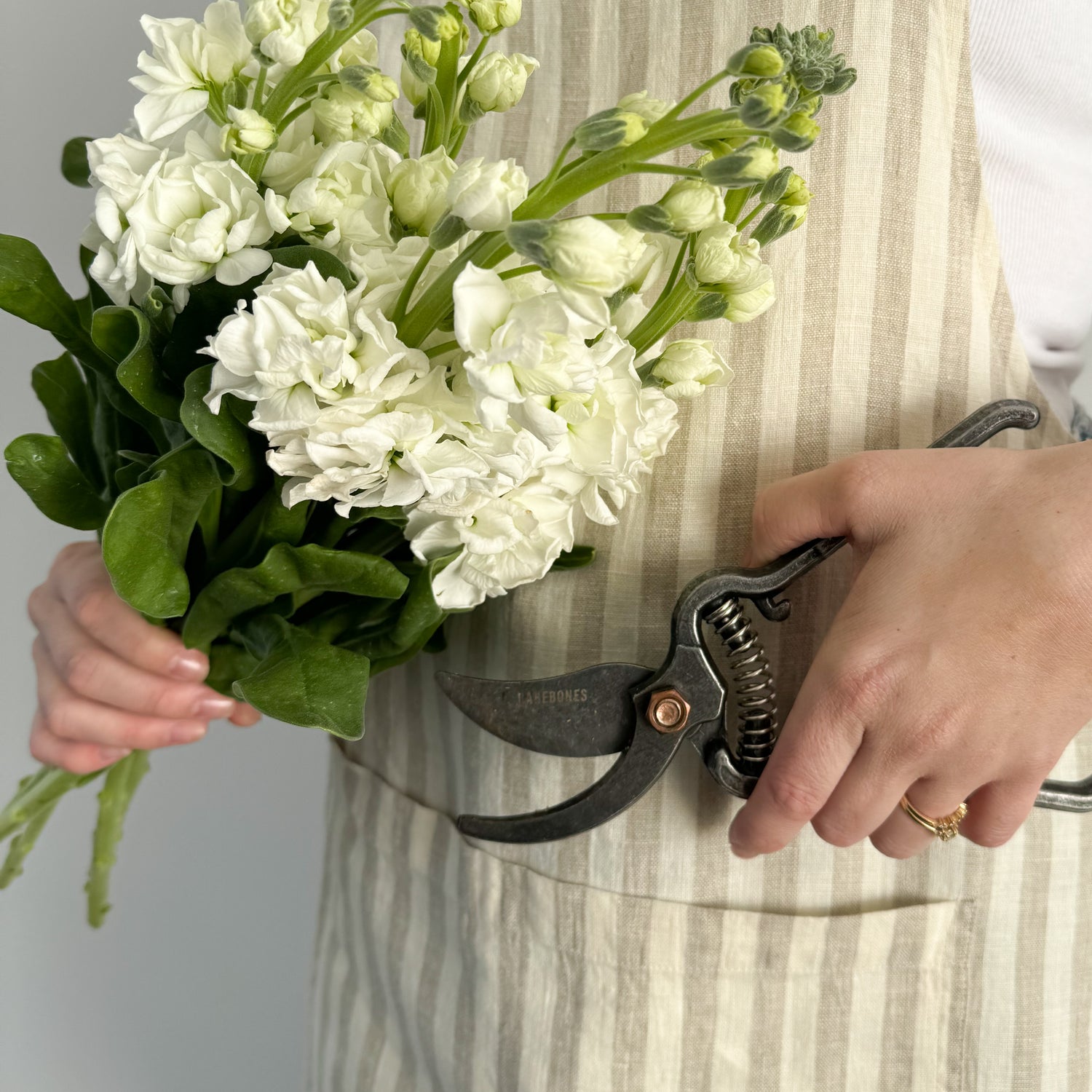 Kitchen Gardening