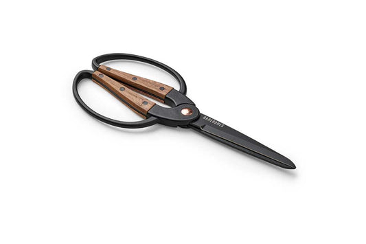 Walnut Scissors Large - Barebones