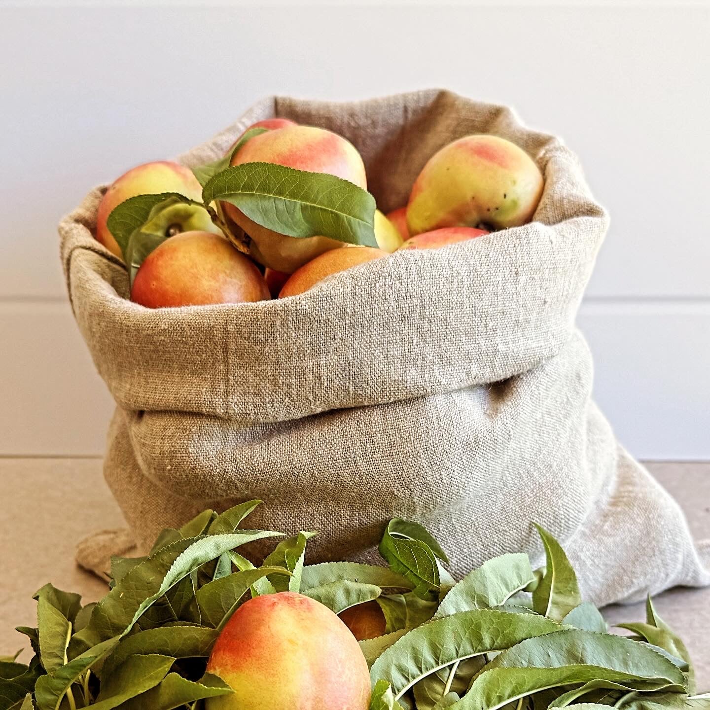 Natural Utility Bag