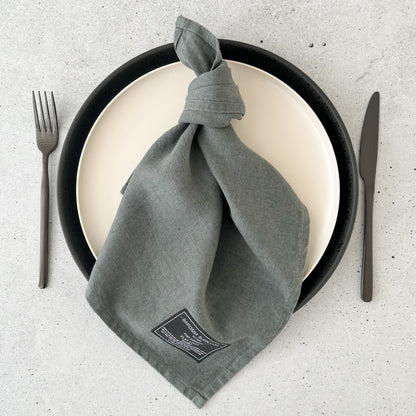 Eucalyptus Linen Napkin set of 2