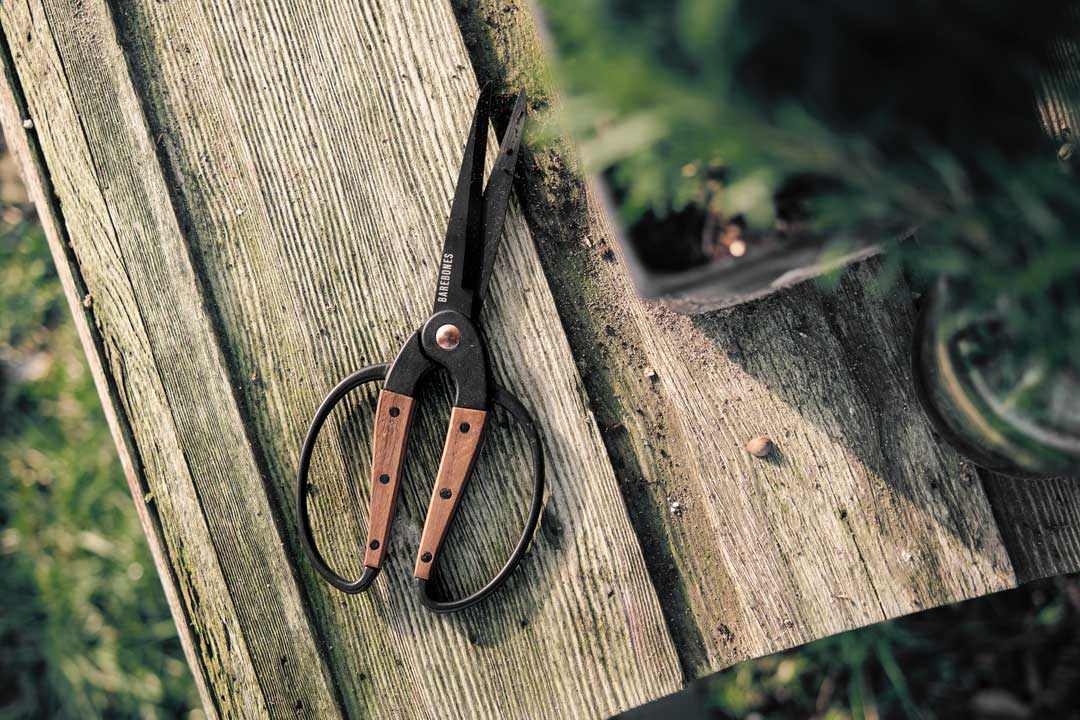 Walnut Scissors Large - Barebones