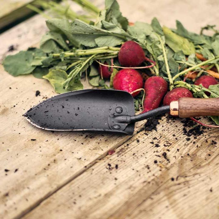 Walnut Garden Trowel -Barebones