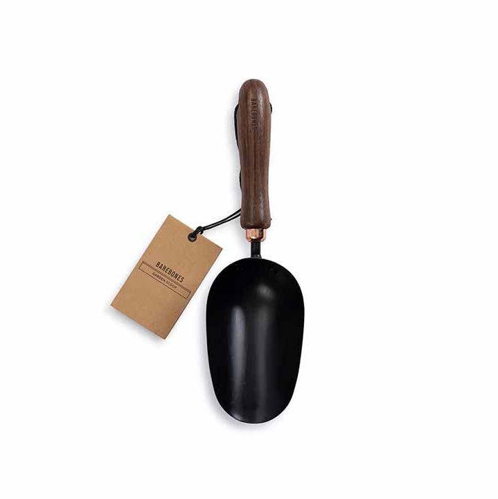 Walnut Scoop - Barebones