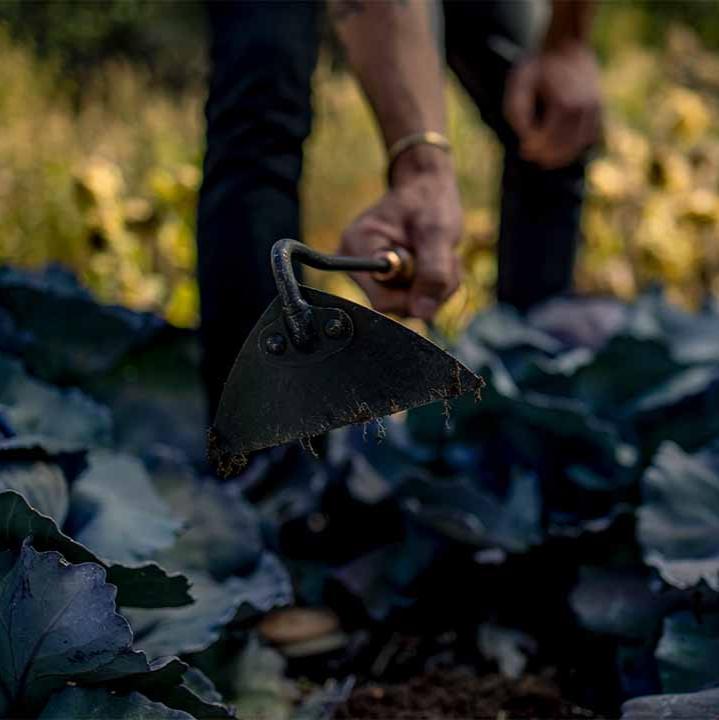 Walnut Triangle Hoe - Barebones